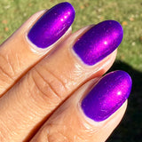 That's It I'm Not Going