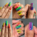 Sarcastic Neon Jelly Collection